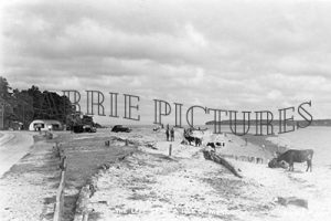 Lepe, Beach c1930