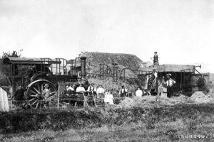 Ringwood, Farming c1900